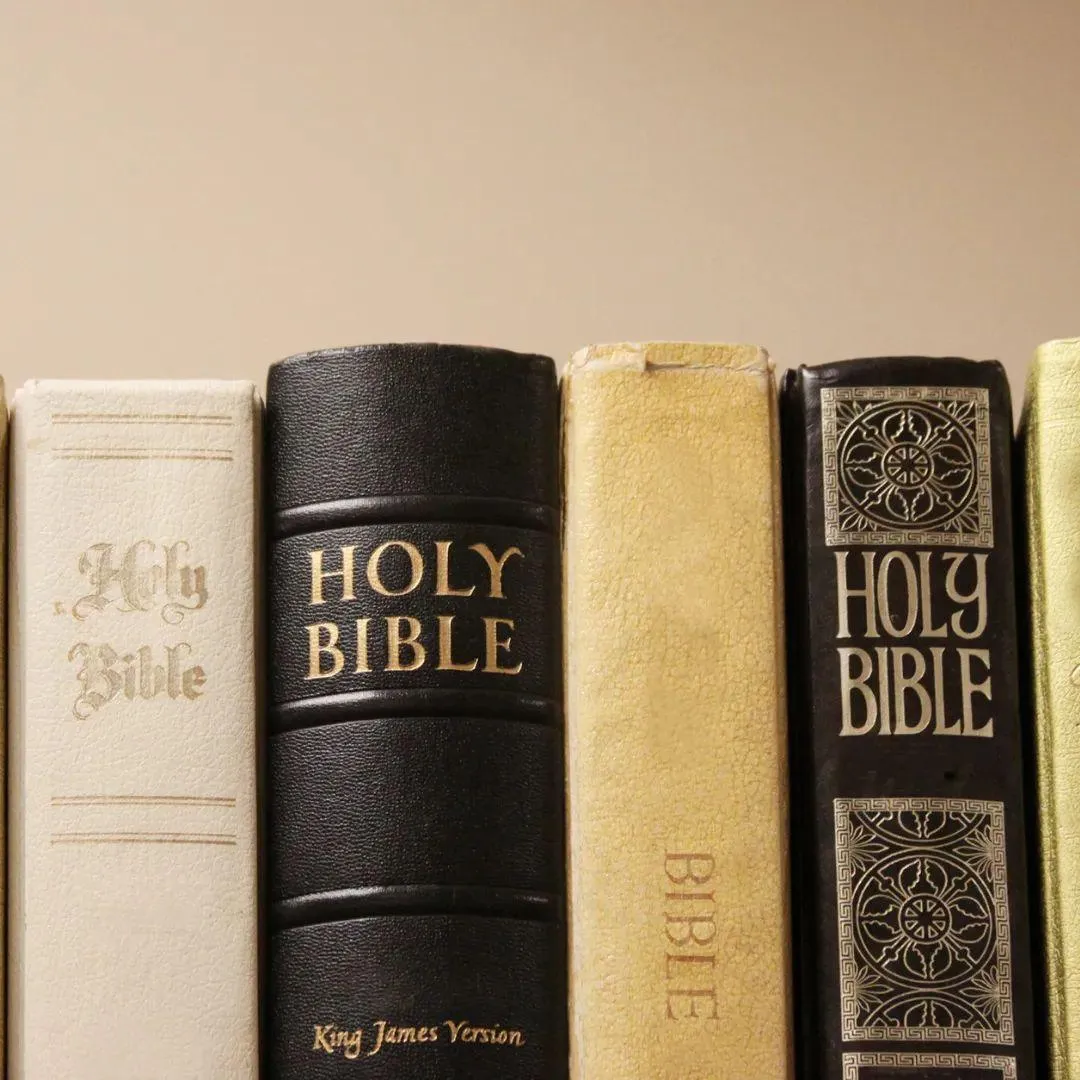 Row of Bibles standing side by side