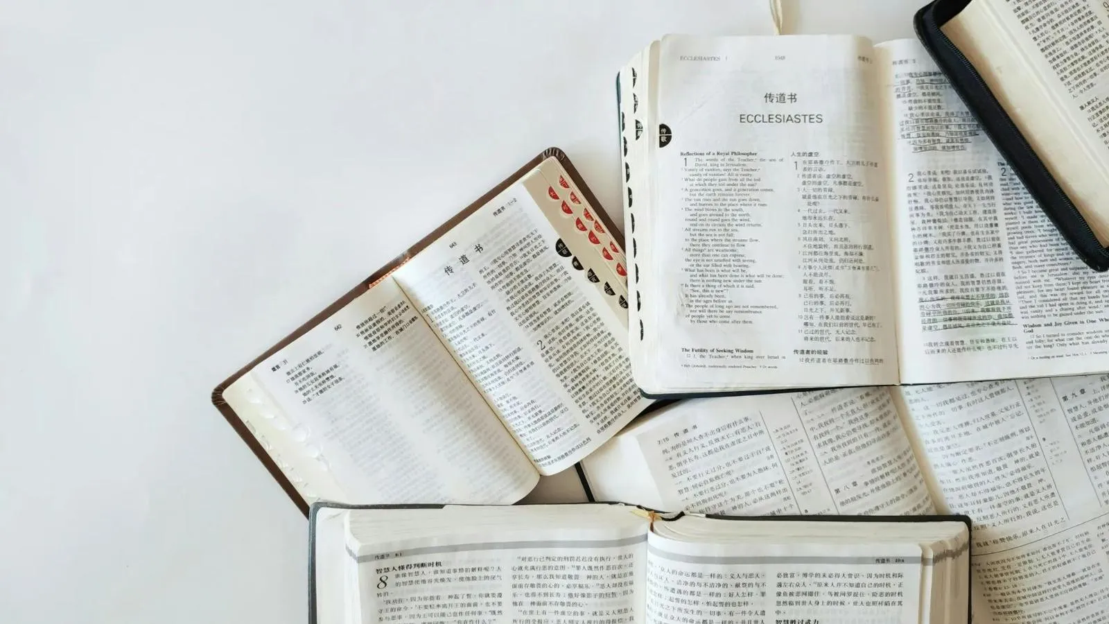 Several open Bibles laid on a white surface